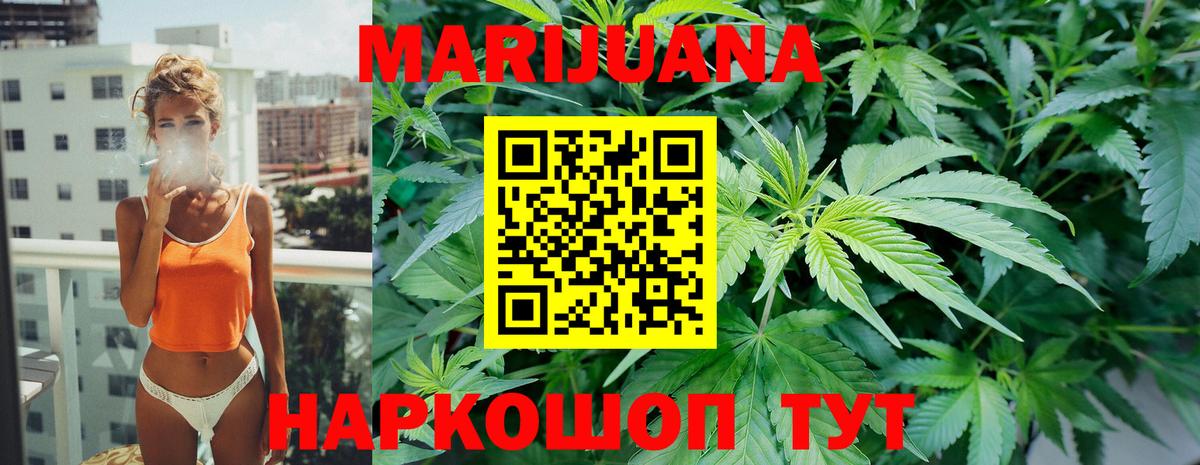Бошки марихуана план  Конопля Bruce Banner  Конопля Bruce Banner  Вход с VPN  Новодвинск 